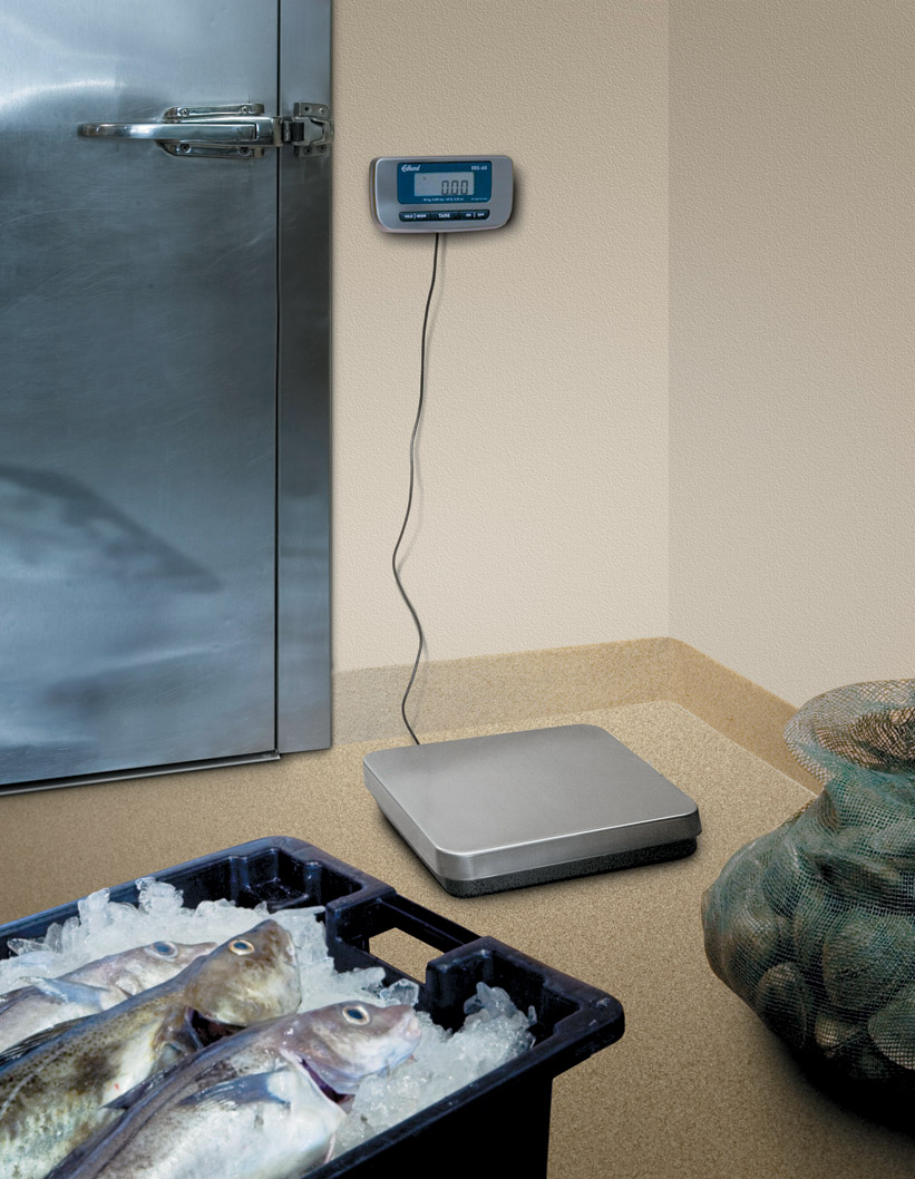 Edlund ERS-60 RB 60 lb. Digital Receiving Scale with Rechargeable